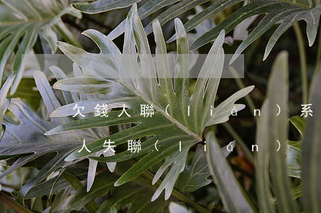 欠錢人聯(lián)系不到了怎么辦，欠錢人失聯(lián)？如何處理無法聯(lián)系的借款人？